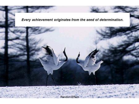 Every achievement originates from the seed of determination. 1Random Effect.
