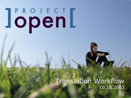 Translation Workflow 10.10.2003. The Big Picture  The execution of translation projects involves a lot of file transfers between the project members.