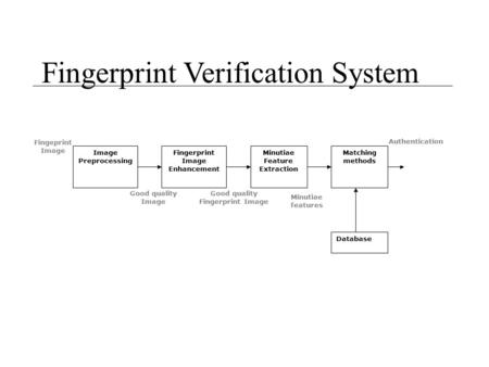 Good quality Fingerprint Image Minutiae Feature Extraction