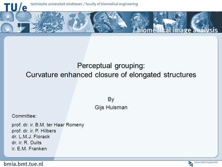 Perceptual grouping: Curvature enhanced closure of elongated structures By Gijs Huisman Committee: prof. dr. ir. B.M. ter Haar Romeny prof. dr. ir. P.