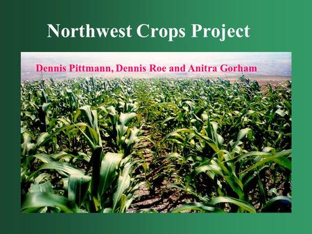 Northwest Crops Project Dennis Pittmann, Dennis Roe and Anitra Gorham.