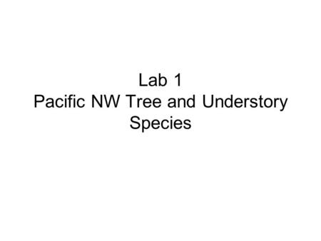 Lab 1 Pacific NW Tree and Understory Species. Conifer trees 1. Douglas-fir (Pseudotsuga menziesii) 2. Western hemlock (Tsuga heterophylla) 3. Western.
