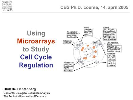 CBS Ph.D. course, 14. april 2005 Using Microarrays to Study Cell Cycle Regulation Ulrik de Lichtenberg Center for Biological Sequence Analysis The Technical.