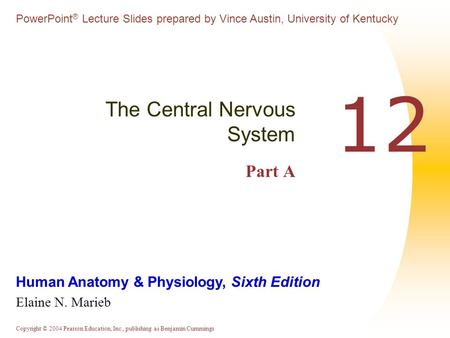The Central Nervous System Part A