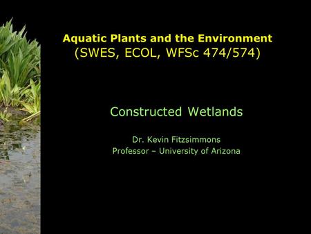 Aquatic Plants and the Environment (SWES, ECOL, WFSc 474/574)