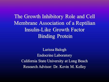 The Growth Inhibitory Role and Cell Membrane Association of a Reptilian Insulin-Like Growth Factor Binding Protein Larissa Balogh Endocrine Laboratory.