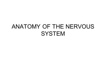 ANATOMY OF THE NERVOUS SYSTEM