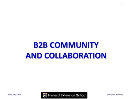 1 Mary Lou Roberts B2B COMMUNITY AND COLLABORATION February 2009.
