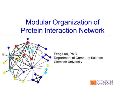 Modular Organization of Protein Interaction Network Feng Luo, Ph.D. Department of Computer Science Clemson University.