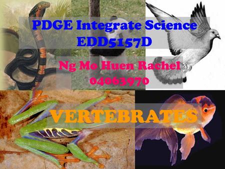 PDGE Integrate Science EDD5157D