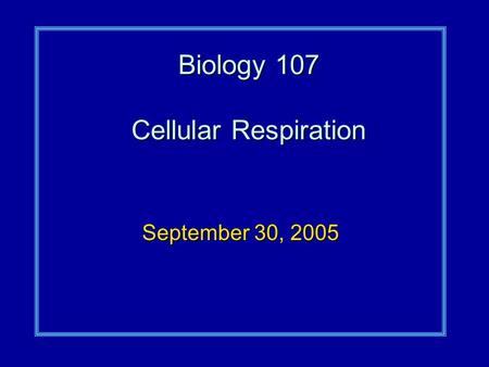 Biology 107 Cellular Respiration September 30, 2005.