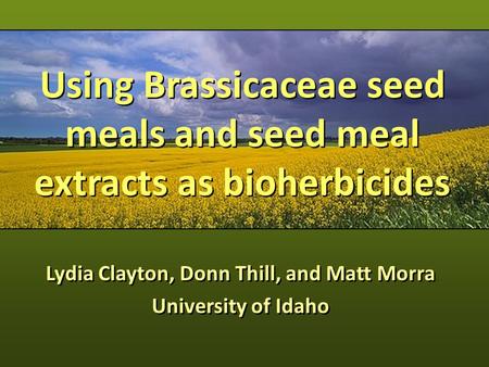 Using Brassicaceae seed meals and seed meal extracts as bioherbicides Lydia Clayton, Donn Thill, and Matt Morra University of Idaho Lydia Clayton, Donn.