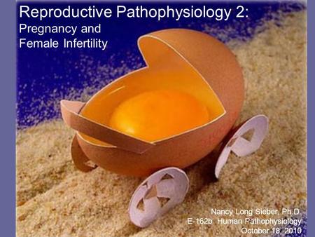 When is it time to be born? Labor and Delivery Reproductive Pathophysiology 2: Pregnancy and Female Infertility Nancy Long Sieber, Ph.D. E-162b Human Pathophysiology.