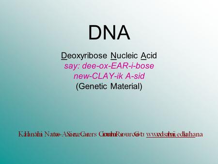 DNA Deoxyribose Nucleic Acid say: dee-ox-EAR-i-bose new-CLAY-ik A-sid