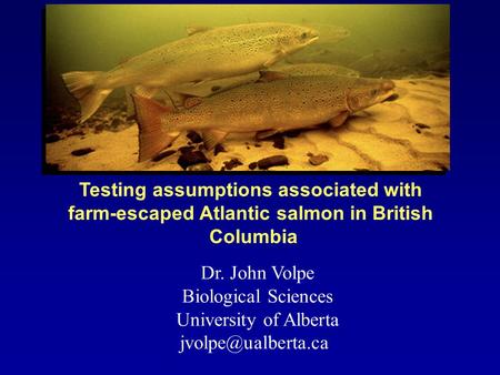 Dr. John Volpe Biological Sciences University of Alberta Testing assumptions associated with farm-escaped Atlantic salmon in British.