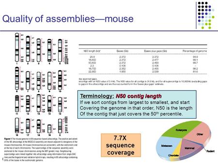 CS273a Lecture 9, Aut08, Batzoglou CS273a Lecture 9, Fall 2008 Quality of assemblies—mouse N50 contig length Terminology: N50 contig length If we sort.