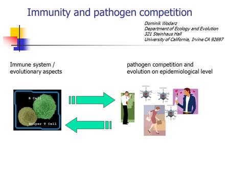 Immunity and pathogen competition Dominik Wodarz Department of Ecology and Evolution 321 Steinhaus Hall University of California, Irvine CA 92697 Immune.