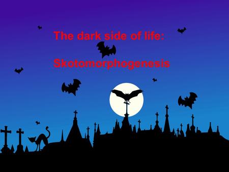 The dark side of life: Skotomorphogenesis. Cells and cell growth Membranes and cell walls Fertilization and embryogenesis Seed development and dormancy.