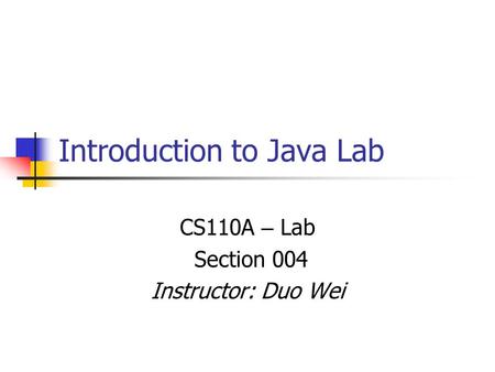 Introduction to Java Lab CS110A – Lab Section 004 Instructor: Duo Wei.