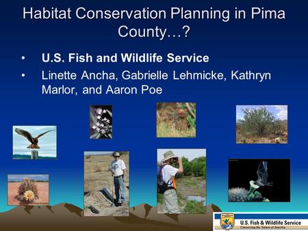 Habitat Conservation Planning in Pima County…? U.S. Fish and Wildlife Service Linette Ancha, Gabrielle Lehmicke, Kathryn Marlor, and Aaron Poe.