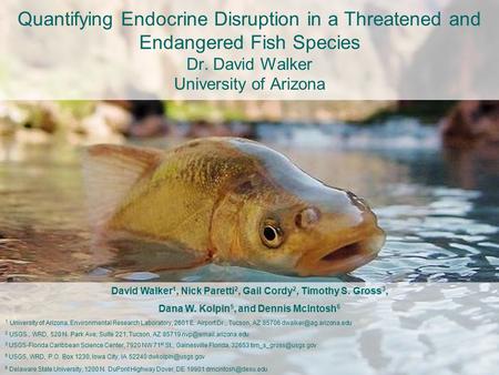 Quantifying Endocrine Disruption in a Threatened and Endangered Fish Species Dr. David Walker University of Arizona David Walker 1, Nick Paretti 2, Gail.