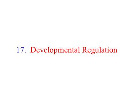 17. Developmental Regulation. Developmental Regulation Many inherited diseases result from mutations in genes regulating development Treatments/therapies.