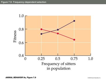 Figure 7.9 Frequency-dependent selection