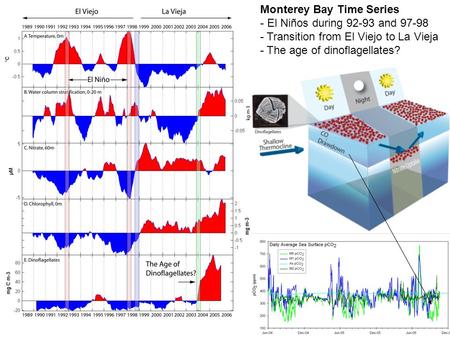 Monterey Bay Time Series - El Niños during 92-93 and 97-98 - Transition from El Viejo to La Vieja - The age of dinoflagellates?