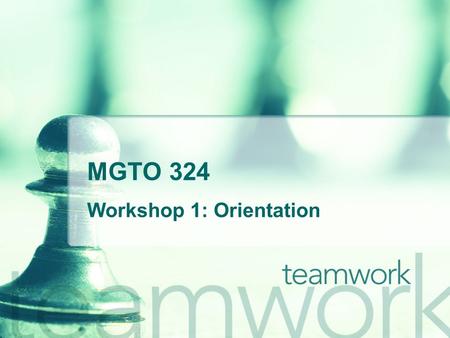 MGTO 324 Workshop 1: Orientation. Agenda Group project SPSS workshop.
