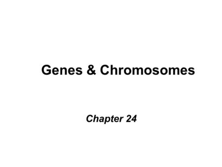 Genes & Chromosomes Chapter 24. Central Dogma (p.906) DNA replicates  more DNA for daughters (Genes of) DNA transcribed  RNA –Gene = segment of DNA.