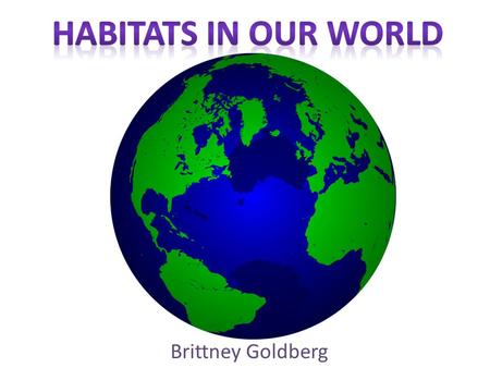 Brittney Goldberg. Definition--> The natural environment in which organisms live. Provides protection Provides food Provides shelter.