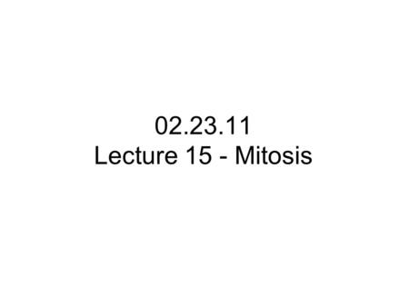 02.23.11 Lecture 15 - Mitosis.