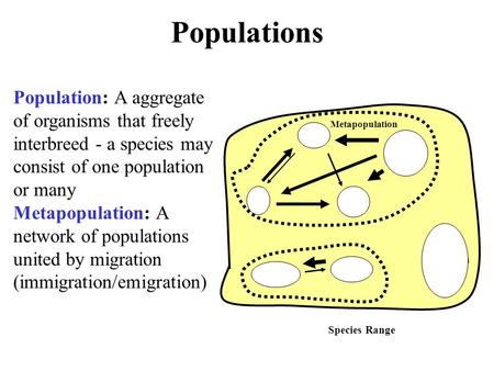 Populations Population: A aggregate of organisms that freely interbreed - a species may consist of one population or many Metapopulation: A network of.