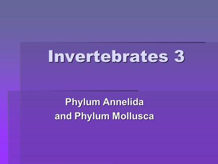 Invertebrates 3 Phylum Annelida and Phylum Mollusca.