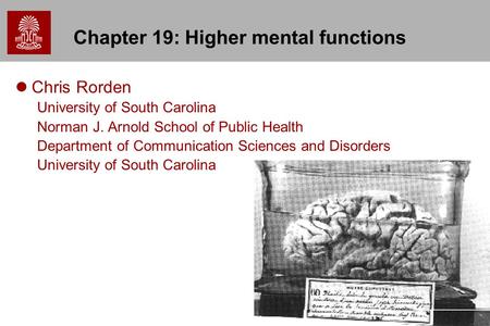 1 Chapter 19: Higher mental functions Chris Rorden University of South Carolina Norman J. Arnold School of Public Health Department of Communication Sciences.