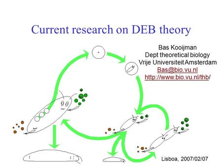 Current research on DEB theory Bas Kooijman Dept theoretical biology Vrije Universiteit Amsterdam