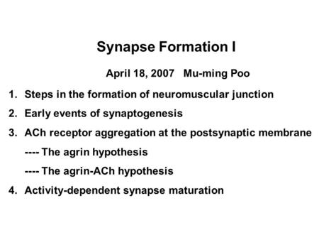 Synapse Formation I April 18, 2007 Mu-ming Poo 1.Steps in the formation of neuromuscular junction 2.Early events of synaptogenesis 3.ACh receptor aggregation.