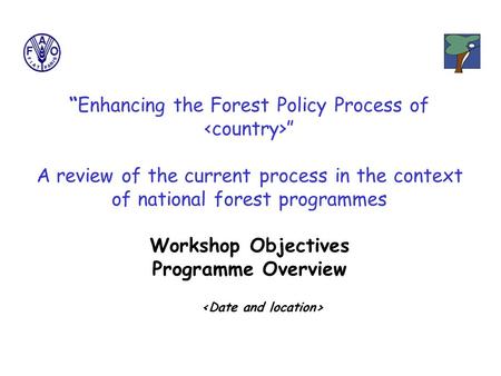“Enhancing the Forest Policy Process of ” A review of the current process in the context of national forest programmes Workshop Objectives Programme Overview.