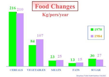 Benjelloun, Public Health Nutrition, Feb 2002 Food Changes Kg/pers/year.