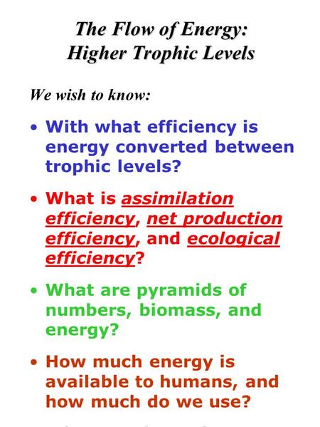 The Flow of Energy: Higher Trophic Levels We wish to know: With what efficiency is energy converted between trophic levels? What is assimilation efficiency,