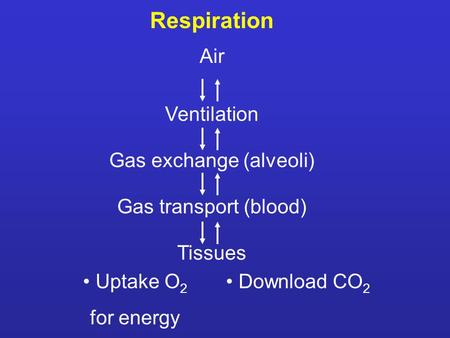 Respiration Air Ventilation Gas exchange (alveoli) Gas transport (blood) Tissues Uptake O 2 for energy Download CO 2.