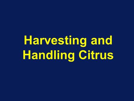 Harvesting and Handling Citrus. Harvesting Methods Manual –Min. Maturity standards (refer Table 1. in MLA’s paper) –Ladders and picking containers –Pulled.