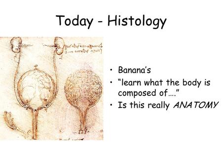 Today - Histology Banana’s “learn what the body is composed of….” Is this really ANATOMY.