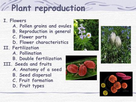 Plant reproduction I. Flowers A. Pollen grains and ovules B. Reproduction in general C. Flower parts D. Flower characteristics II. Fertilization A. Pollination.