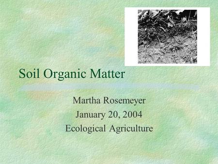 Soil Organic Matter Martha Rosemeyer January 20, 2004 Ecological Agriculture.