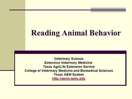 Reading Animal Behavior Veterinary Science Extension Veterinary Medicine Texas AgriLife Extension Service College of Veterinary Medicine and Biomedical.
