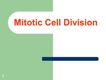 1 Mitotic Cell Division. 2 Objectives  Learn preparing and staining procedure to identify the stages of mitosis in onion root tip.  To differentiate.
