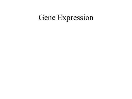 Gene Expression.