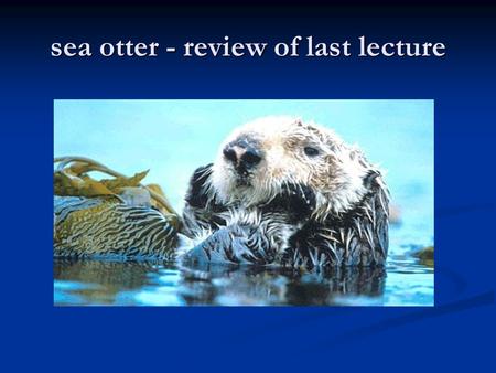 Sea otter - review of last lecture. The last of the otters 150 years after excessive hunting, by late 1800s, only 3000 otters left 150 years after excessive.