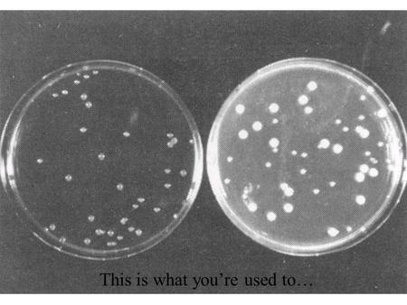 This is what you’re used to…. …but this is what can happen. Bacterial Colony Growth.
